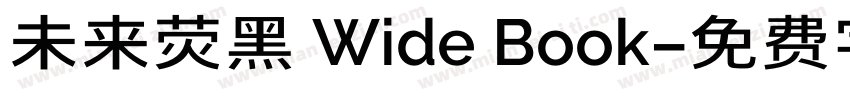 未来荧黑 Wide Book字体转换